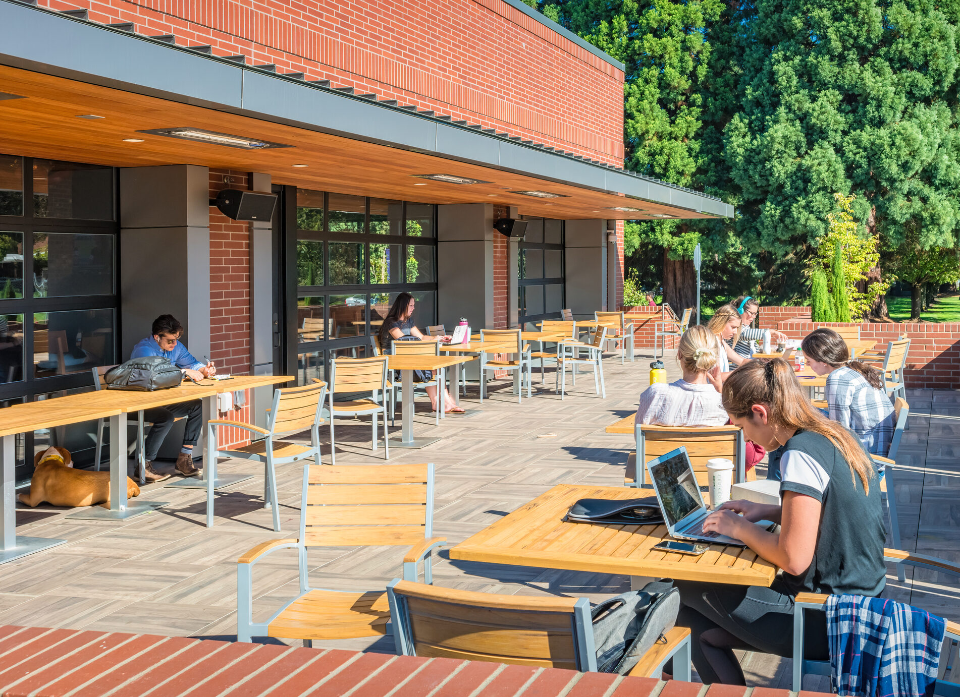 University students sitting outside on a patio eating and studying.